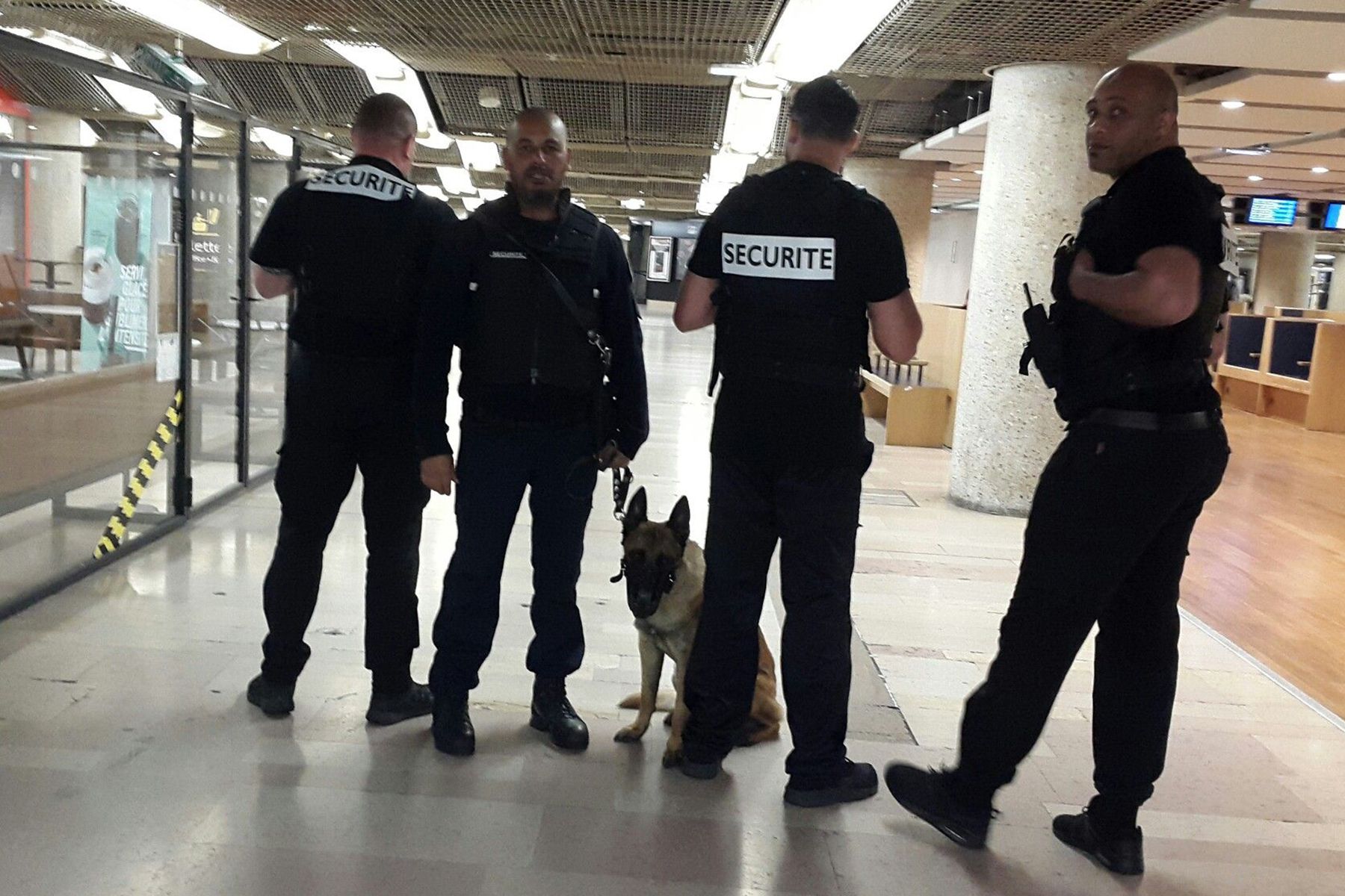 SGN Bodyguard — Agent de sécurité prévol