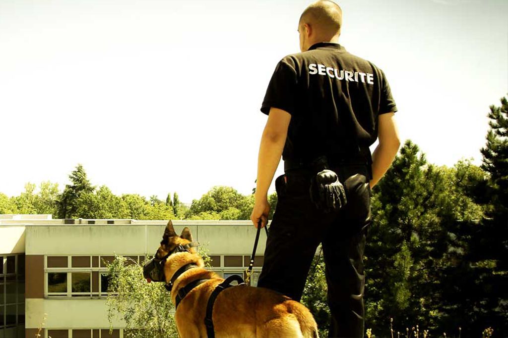 SGN Bodyguard — Agent De Sécurité Cynophile